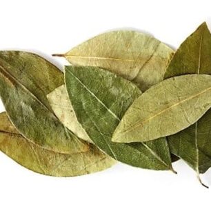 coca leaves